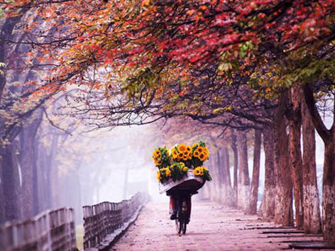 Vé máy bay Chu Lai Hà Nội