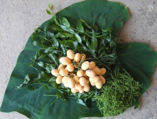 Kinh nghiệm du lịch Bắc Kạn