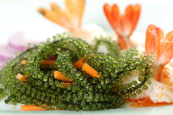 Kinh nghiệm du lịch Nha Trang