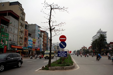 đại lý bán vé máy bay đi Malaysia tại quận Bắc Từ Liêm