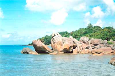 Kinh nghiệm du lịch Cà Mau