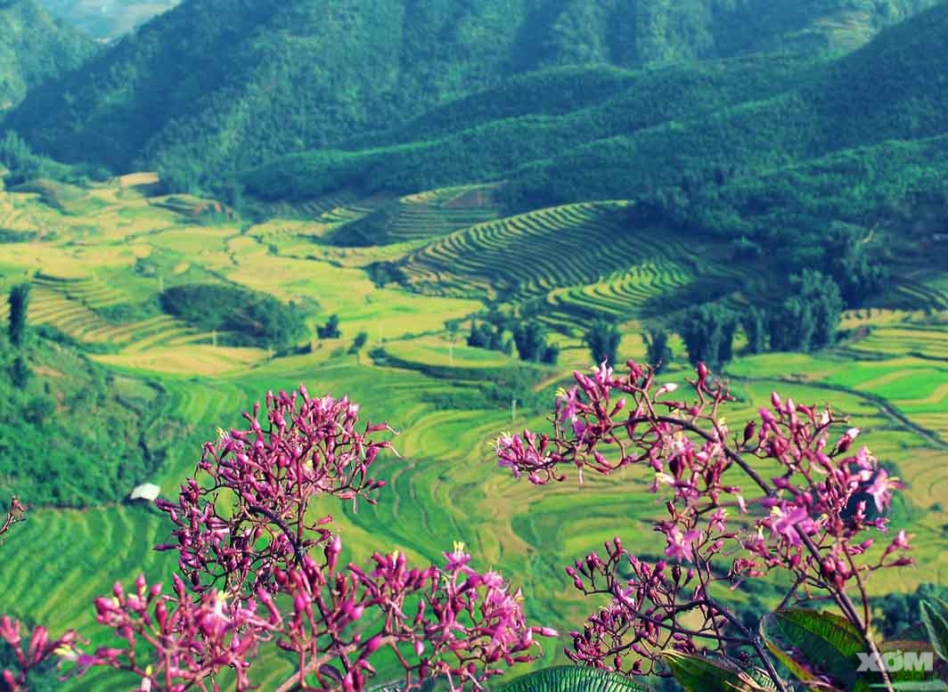 Kinh nghiệm du lịch Điện Biên