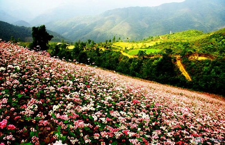kinh nghiệm đi du lịch Hà Giang