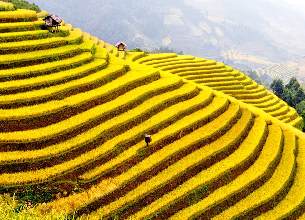 Kinh nghiệm du lịch Hà Giang