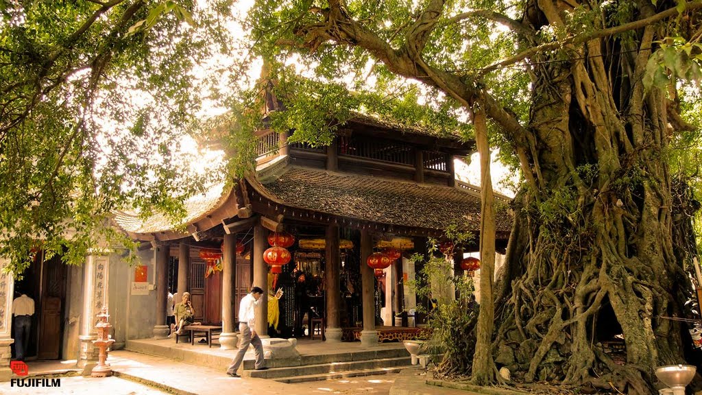Kinh nghiệm du lịch Hưng Yên