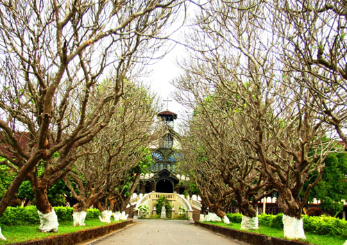 Kinh nghiệm du lịch Kon Tum