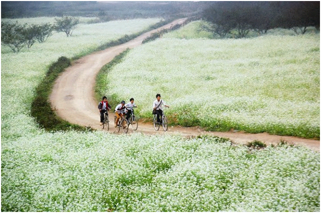 Kinh nghiệm du lịch Lai Châu