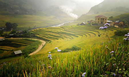 kinh nghiệm đi du lịch Lào Cai