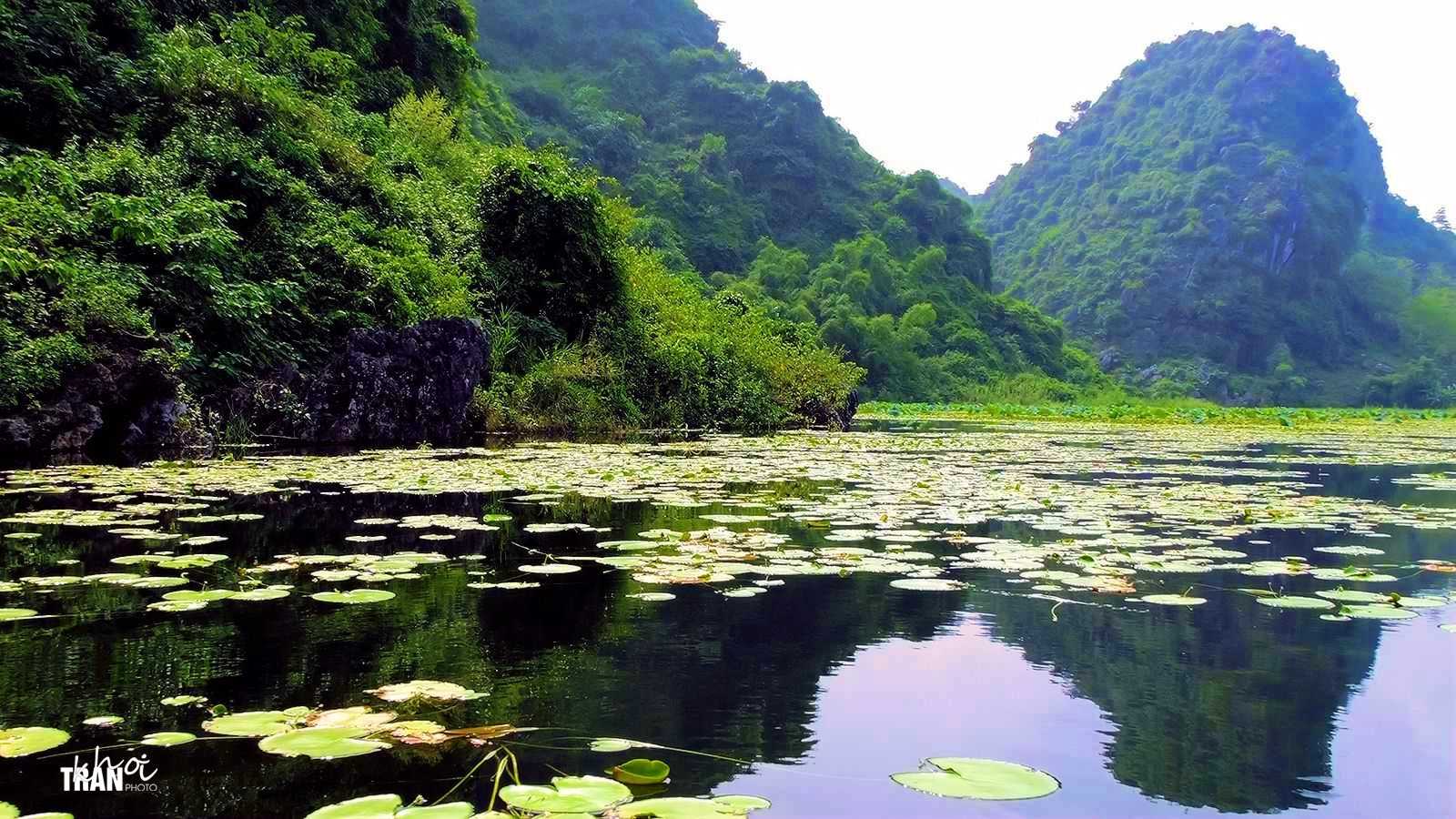 Tranh Phong Cảnh Quê Hương Nam Định Đẹp Nhất  Tranh phong cảnh Phong cảnh  Cánh