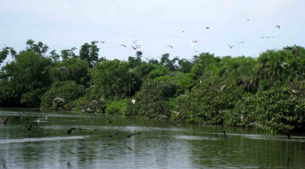 Du lịch Bạc Liêu