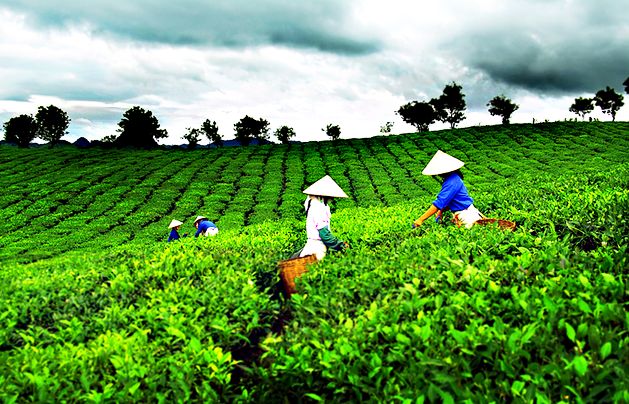 kinh nghiệm du lịch Thái Nguyên