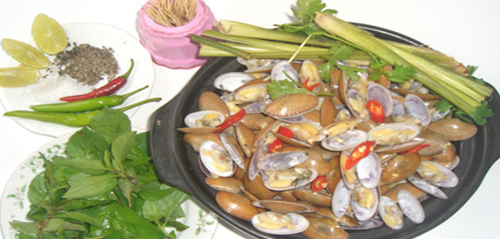 Chip chip hấp