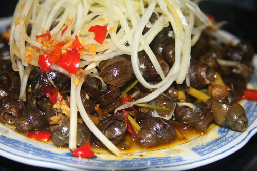 Ốc hút Ốc hút