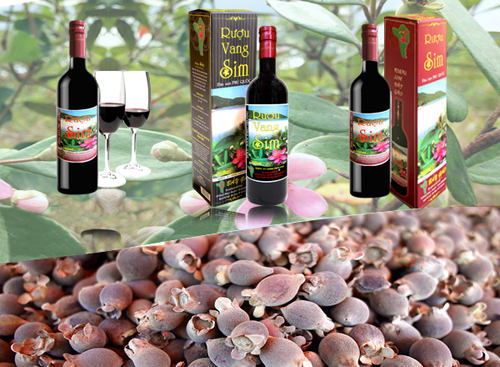 Rượu sim rừng Rượu sim rừng