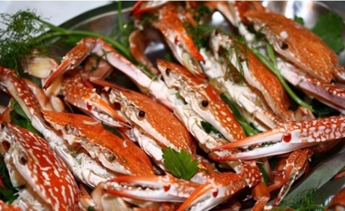 Hải sản biển Hải sản biển
