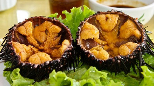 Nhum biển Nhum biển