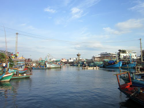 Sông Dương Đông Sông Dương Đông