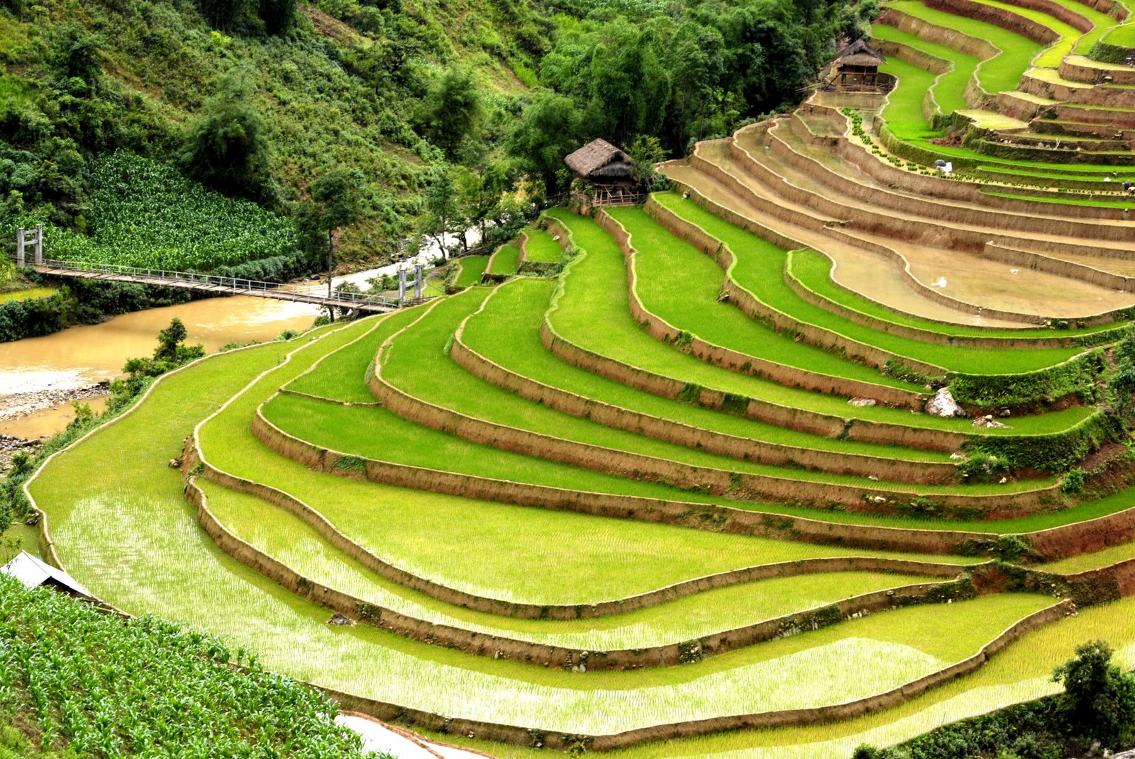 Kinh nghiệm du lịch Yên Bái