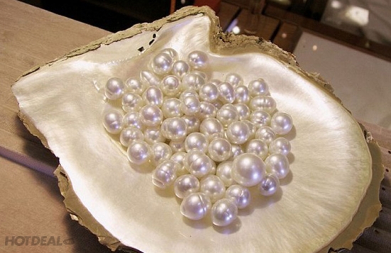 Du lịch Phú Quốc- tìm hiểu ngọc trai Phú Quốc