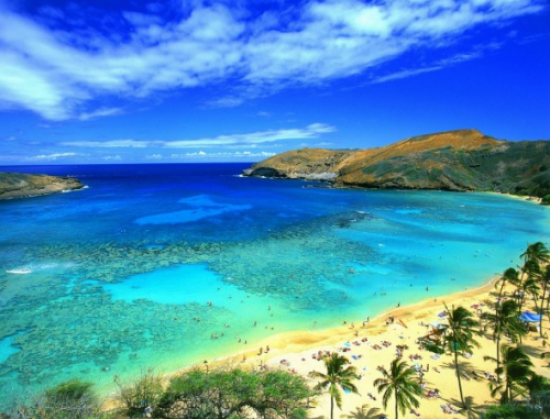 Vé máy bay Hà Nội đi Austin