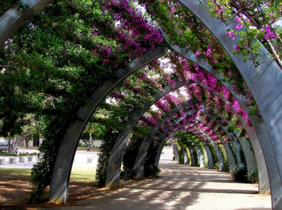 Kinh nghiệm đặt vé máy bay từ Sài Gòn đi Brisbane