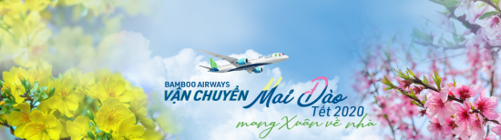 DỊCH VỤ VẬN CHUYỂN MAI, ĐÀO DỊP TẾT CANH TÝ 2020 CỦA BAMBOO AIRWAYS.
