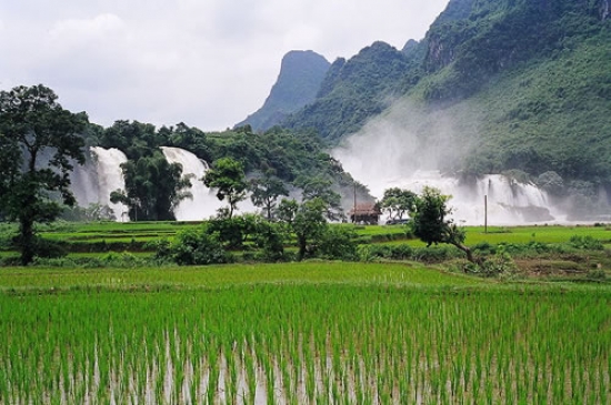  Đại lý vé máy bay tại Huyện Bảo Lâm