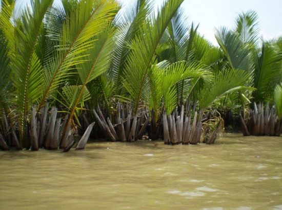  Đại lý vé máy bay ở Cà Mau