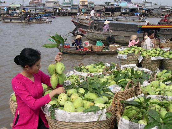  Vé máy bay đi Cần Thơ giá rẻ
