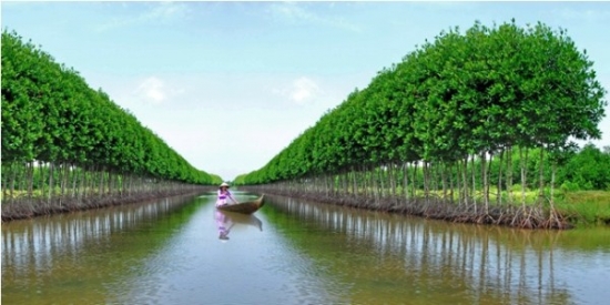  Bán vé máy bay Hà Nội Cần Thơ ở quận Hà Đông
