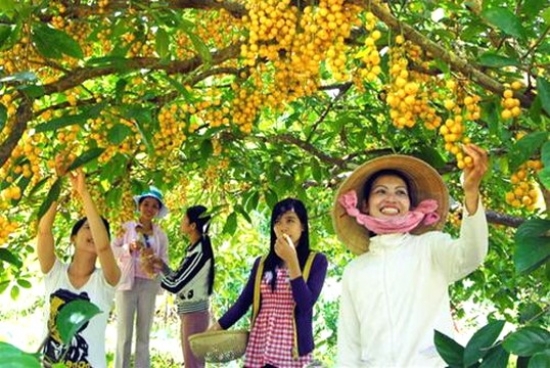 Bán vé máy bay Hà Nội Cần Thơ ở quận Bắc Từ Liêm