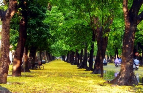  Vé máy bay Chu Lai Hà Nội