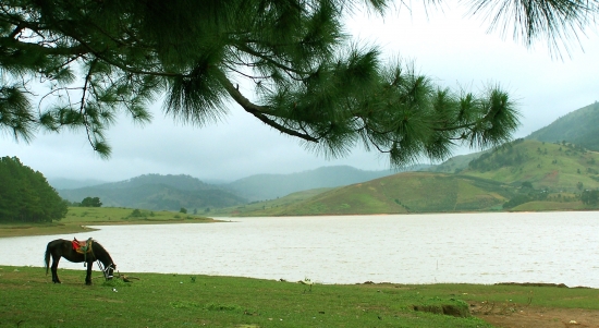  vé máy bay Hà Nội Đà Lạt ở quận Thanh Xuân