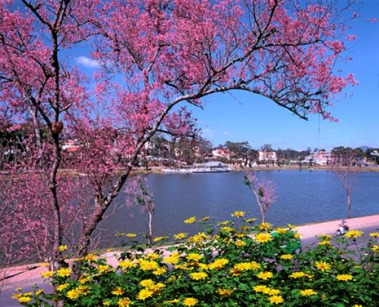 vé máy bay Hà Nội Đà Lạt ở quận Tây Hồ