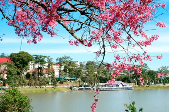 vé máy bay Hà Nội Đà Lạt ở quận Ba Đình