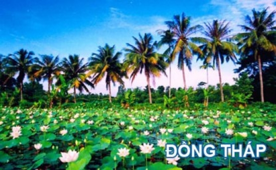 Phòng bán vé máy bay Vietnam Airlines tại Đồng Tháp