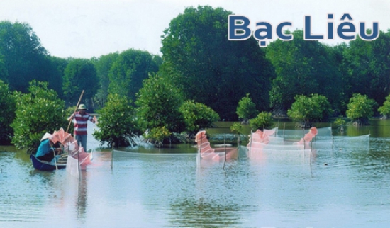  Phòng bán vé máy bay tại Bạc Liêu