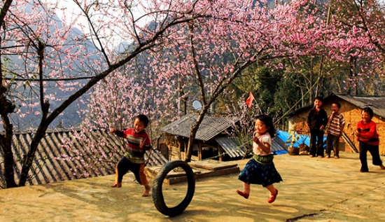  Phòng bán vé máy bay Vietnam Airlines tại Hà Giang