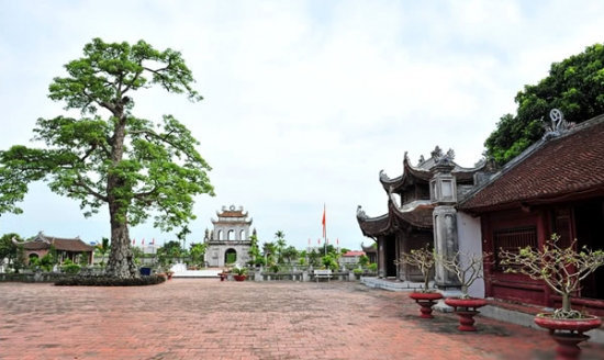 Đại lý vé máy bay tại Huyện Ninh Giang