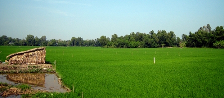  Kinh nghiệm du lịch Hậu Giang