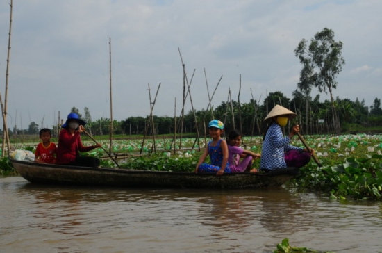 Đại lý vé máy bay tại huyện Thanh Bình