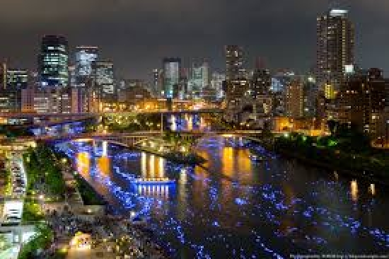 Giá vé máy bay khứ hồi đi Osaka