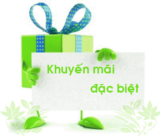  Ưu đãi dành riêng bà con đồng hương An Giang tại Đà Nẵng khi mua vé máy bay