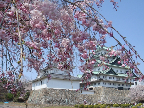Vé máy bay Hà Nội đi Nagoya