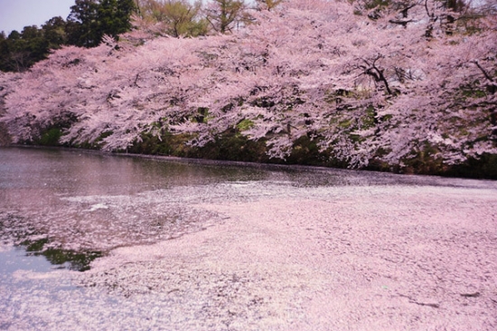 Vé máy bay Sài Gòn đi Nagoya