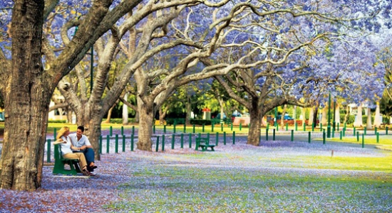 Kinh nghiệm mua vé máy bay từ Hà Nội đi Brisbane