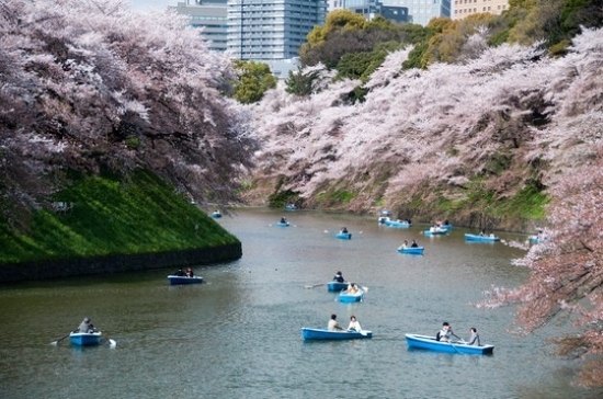 Săn vé máy bay Hà Nội đi Osaka giá rẻ vào tháng 10