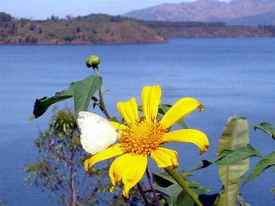  Vé máy bay Pleiku Sài Gòn