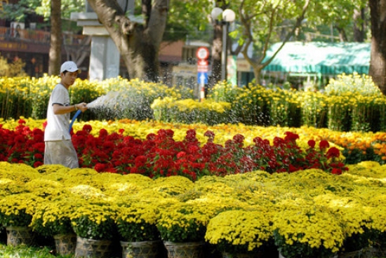  Về Quy Nhơn vi vu dịp tết.