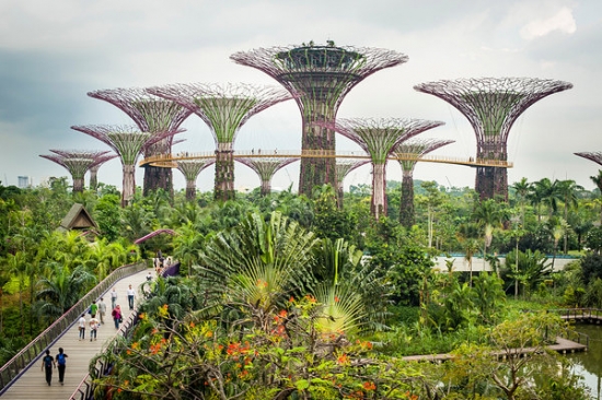 Đại lý bán vé máy bay đi Singapore tại Quận Tân Phú